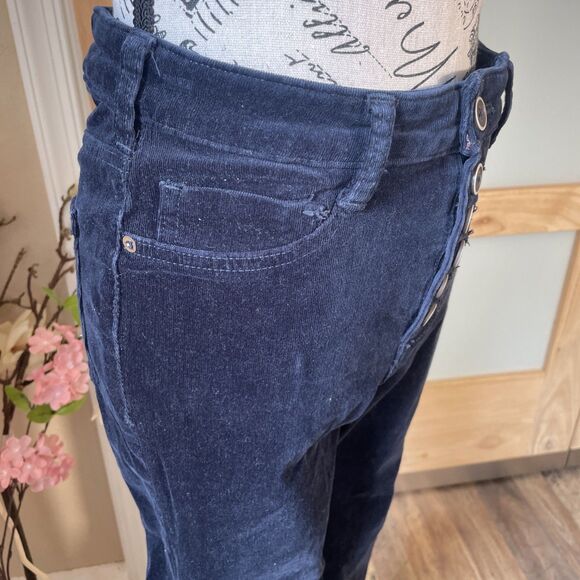 Anthropologie PILCRO Button Fly High-Rise Skinny Corduroy Pants Women's 28P Navy - Picture 3 of 9